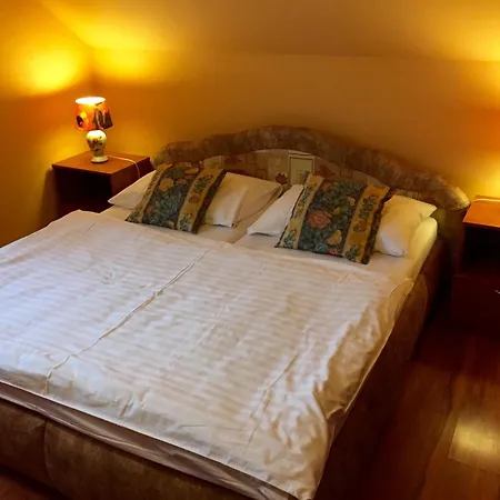 U Golema Guest house Blansko